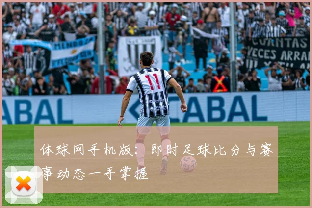 体球网手机版：即时足球比分与赛事动态一手掌握