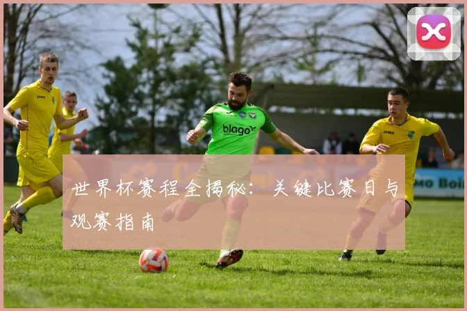 世界杯赛程全揭秘：关键比赛日与观赛指南