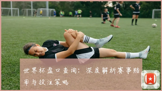 世界杯盘口查询：深度解析赛事赔率与投注策略
