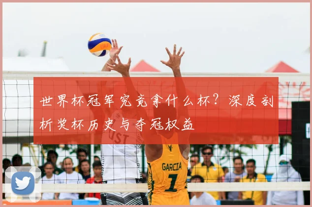 世界杯冠军究竟拿什么杯?深度剖析奖杯历史与夺冠权益
