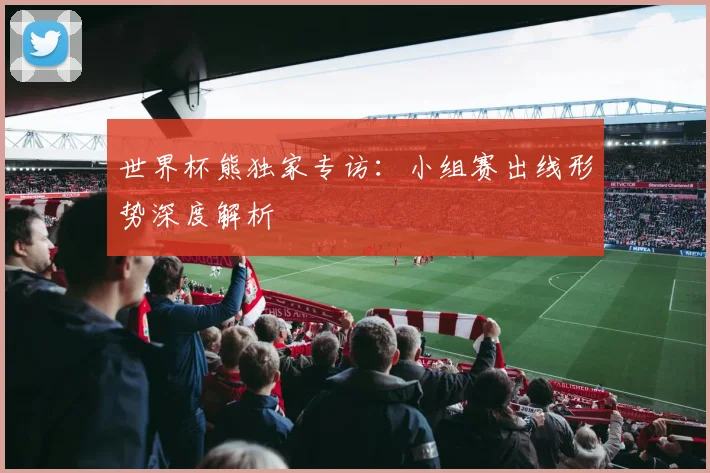 世界杯熊独家专访:小组赛出线形势深度解析