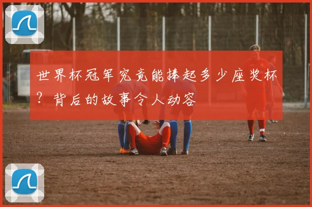 世界杯冠军究竟能捧起多少座奖杯？背后的故事令人动容