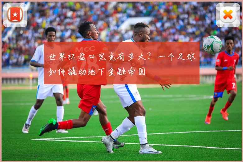 世界杯盘口究竟有多大？一个足球如何撬动地下金融帝国