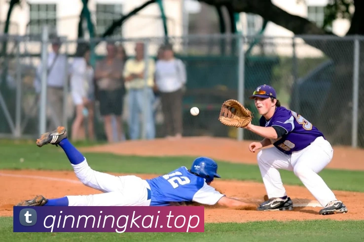 华体网首页官网APP 封面图